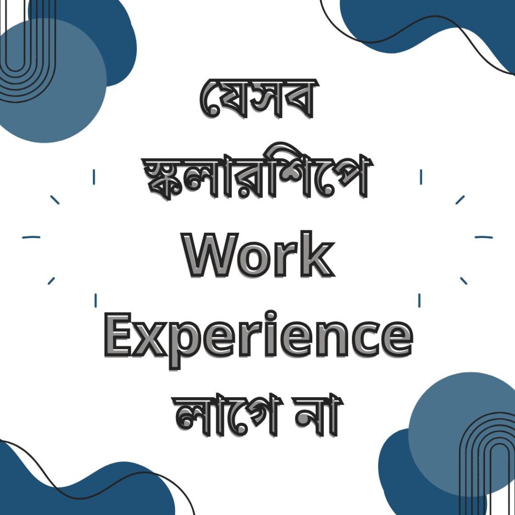 যেসব স্কলারশিপে Work Experience লাগে না