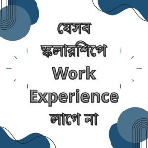 যেসব স্কলারশিপে Work Experience লাগে না